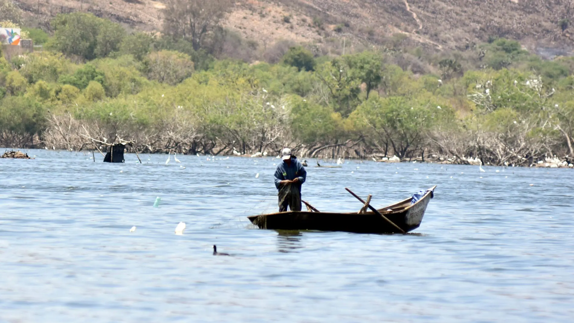 Invertirán alrededor de seis MDP para apoyar al cultivo de peces en el estado Paulo Bañuelos Rosales (2)